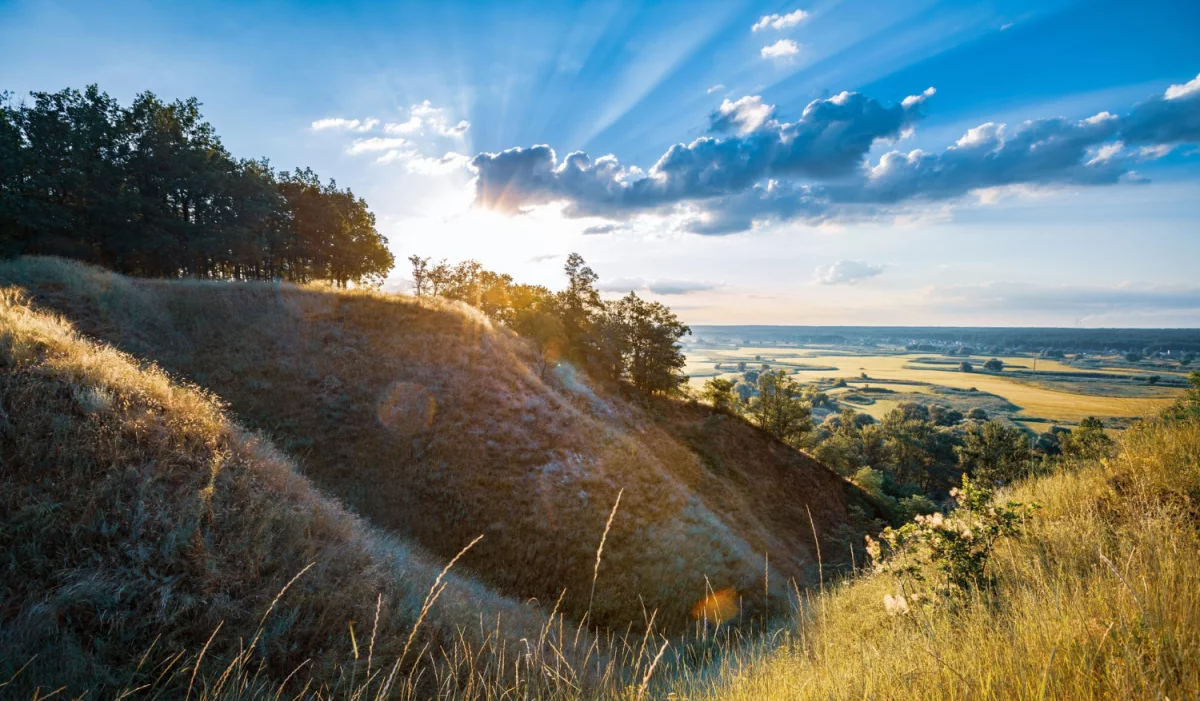 W jakim celu pójść do restauracji?